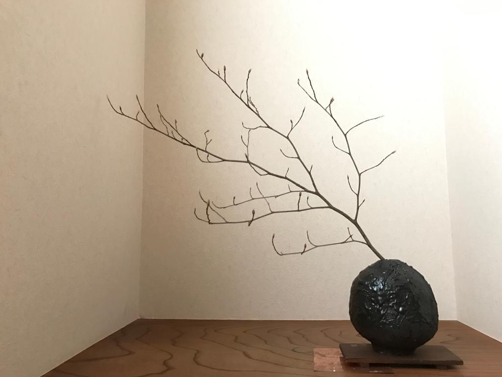 Sayama Aesthetics School Hotel Osakasayama Bagian luar foto